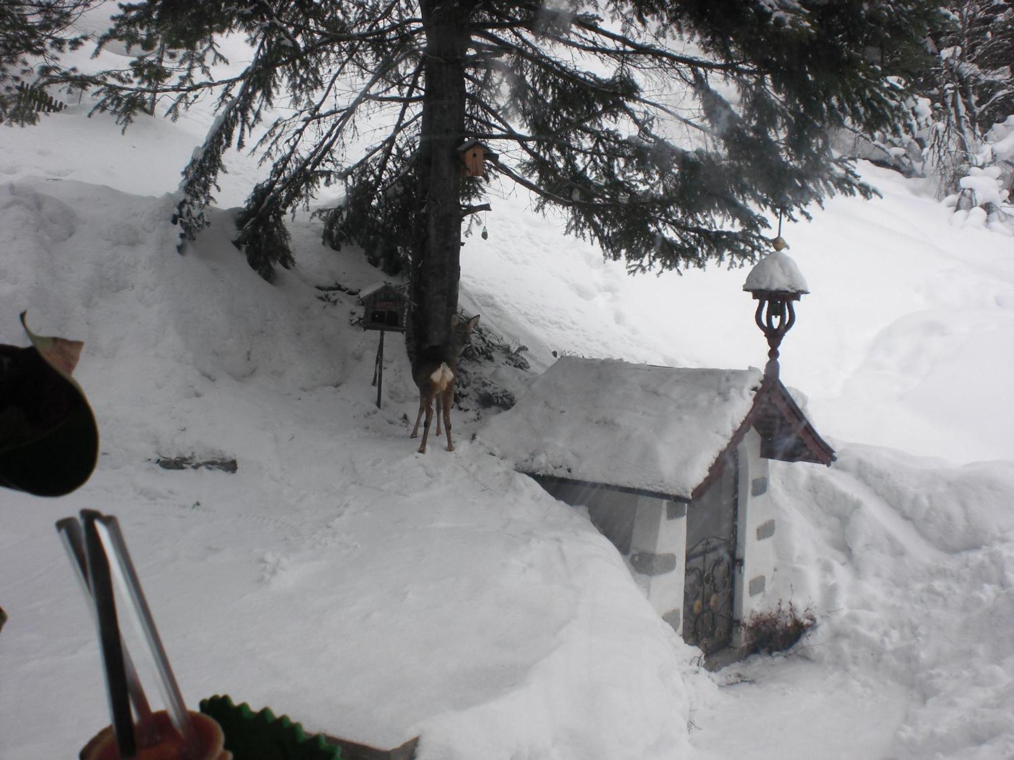 Haus Waldheim Hotel Sankt Leonhard im Pitztal Exterior foto